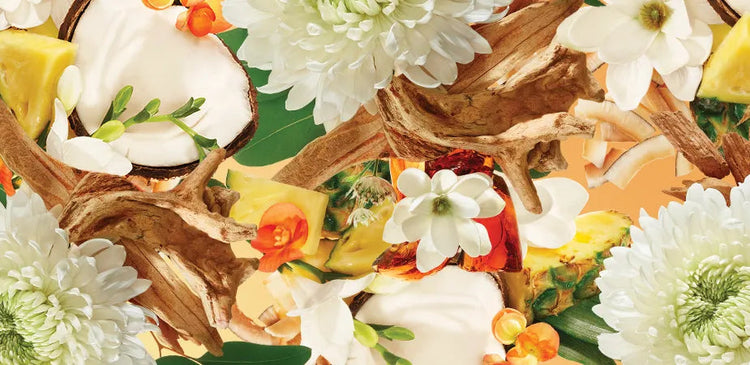 Notes Florales (Fleurs - Doux et Élégant)