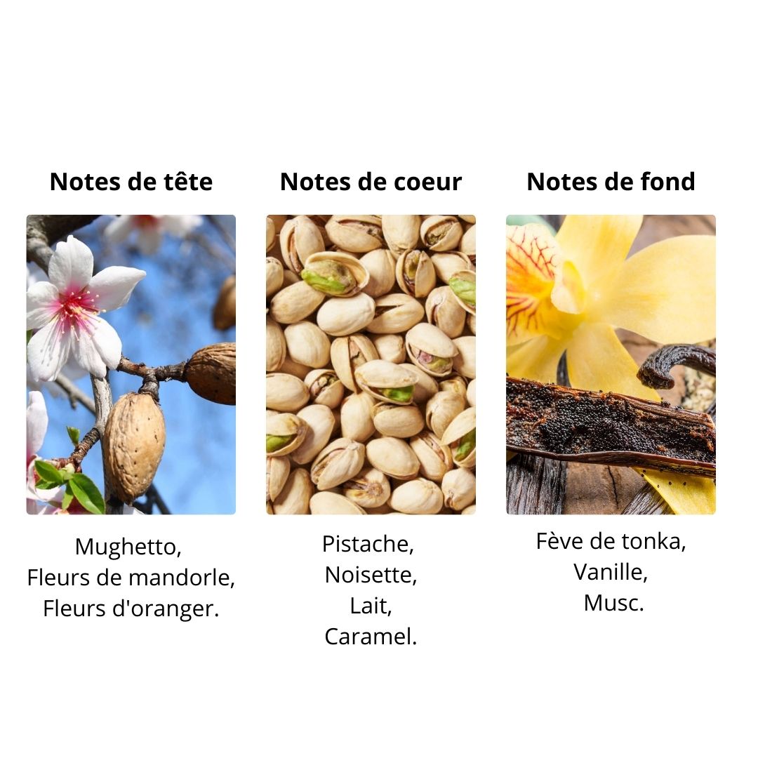 Décant Frederic Cantelli Sweet Banana - Extrait de Parfum Maison Matheis
