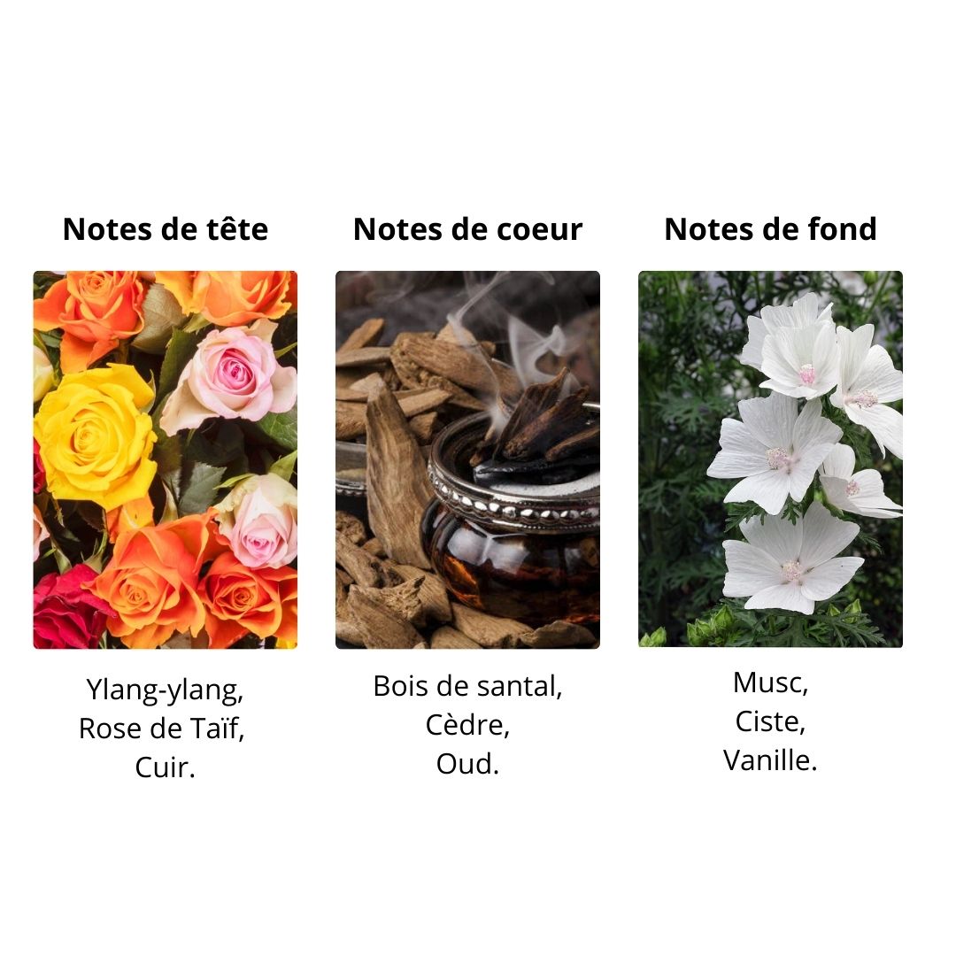 Décant Montale Arabians Rose Leather - Eau de Parfum Maison Matheis