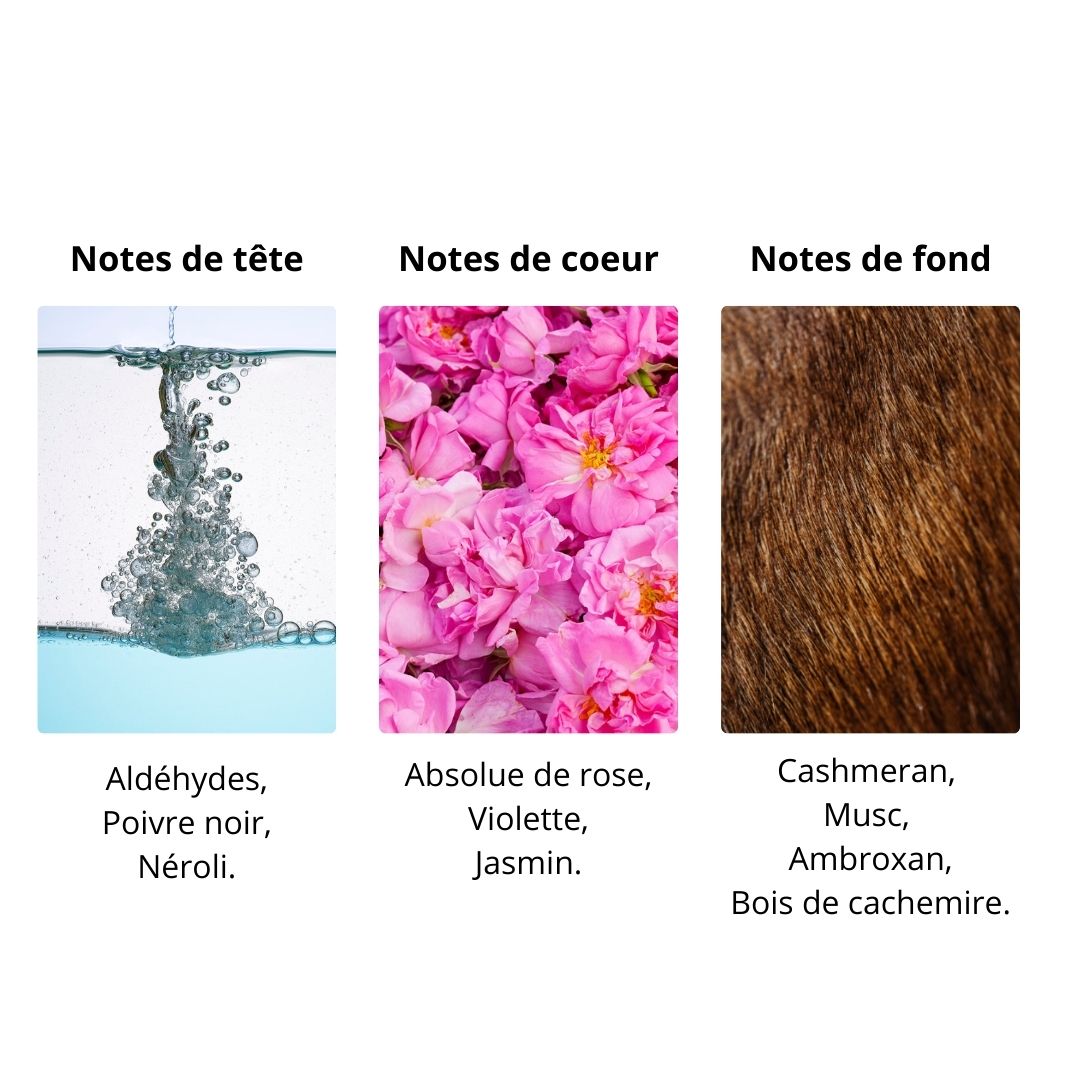 Décant Byredo Blanche - Absolu de Parfum Maison Matheis