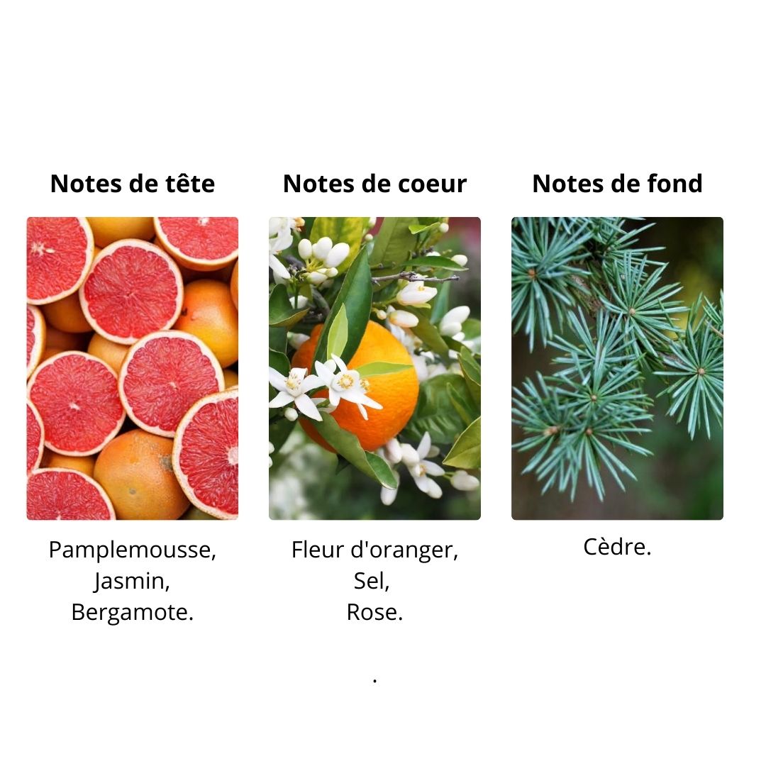 Décant Atelier des Ors Pomelo Riviera - Eau de Parfum Maison Matheis