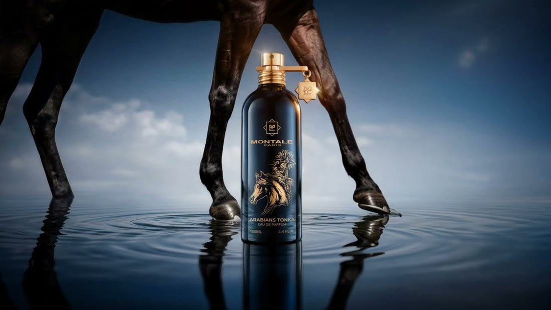 Montale Arabians Tonka : avis, notes olfactives (l'ambré gourmand aux épices)