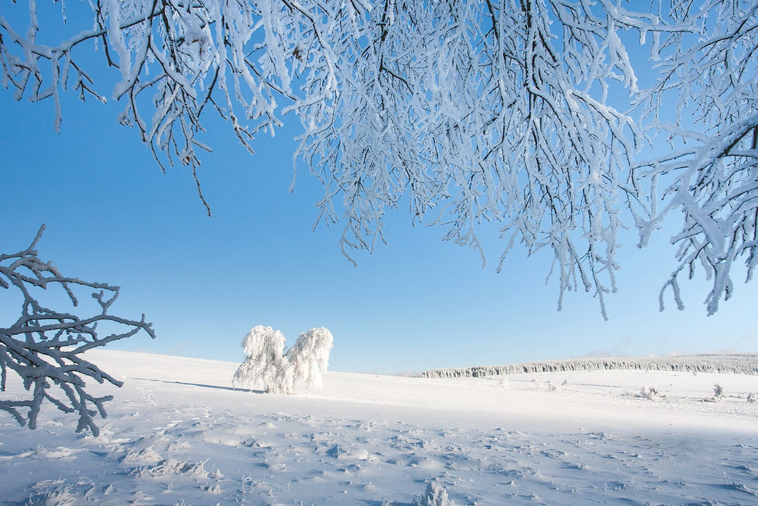 4 Parfums Coups de Cœur pour l'Hiver 2026 : Des Fragrances qui Évoquent la Chaleur des Feux de Cheminée