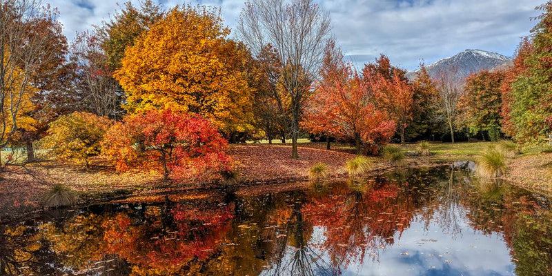 Ambrés chaleureux : 5 décants cocon pour envelopper l'automne