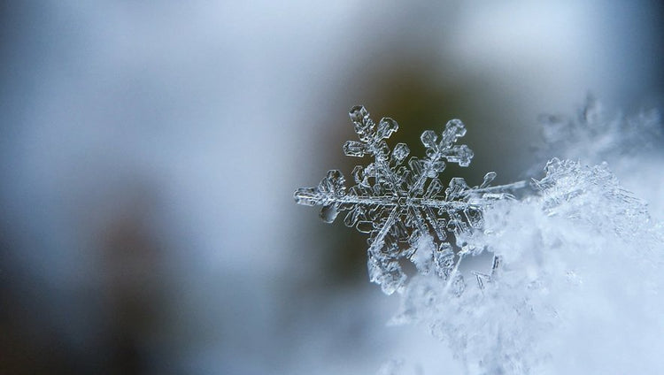 Soldes Hiver 26 : -20%