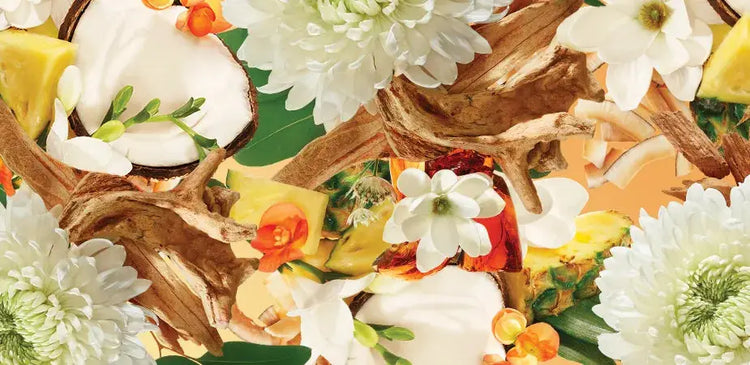 Notes Florales (Fleurs - Doux et Élégant)
