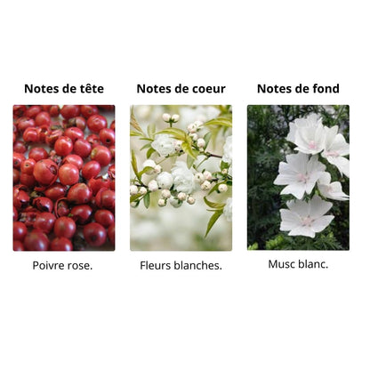 Décant Initio Power Self - Eau de Parfum Maison Matheis
