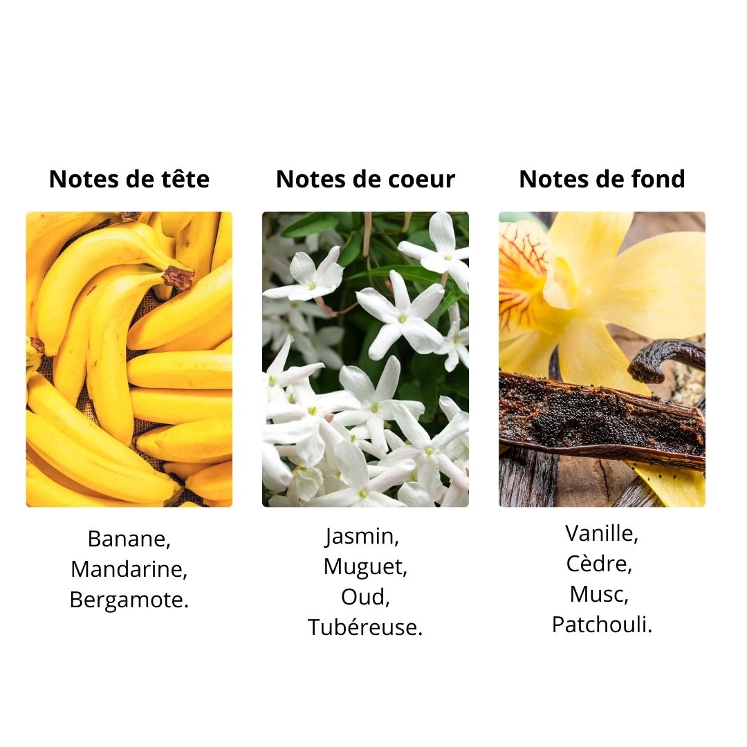 Décant Frederic Cantelli Sweet Banana - Extrait de Parfum Maison Matheis
