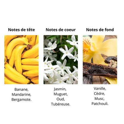 Décant Frederic Cantelli Sweet Banana - Extrait de Parfum Maison Matheis