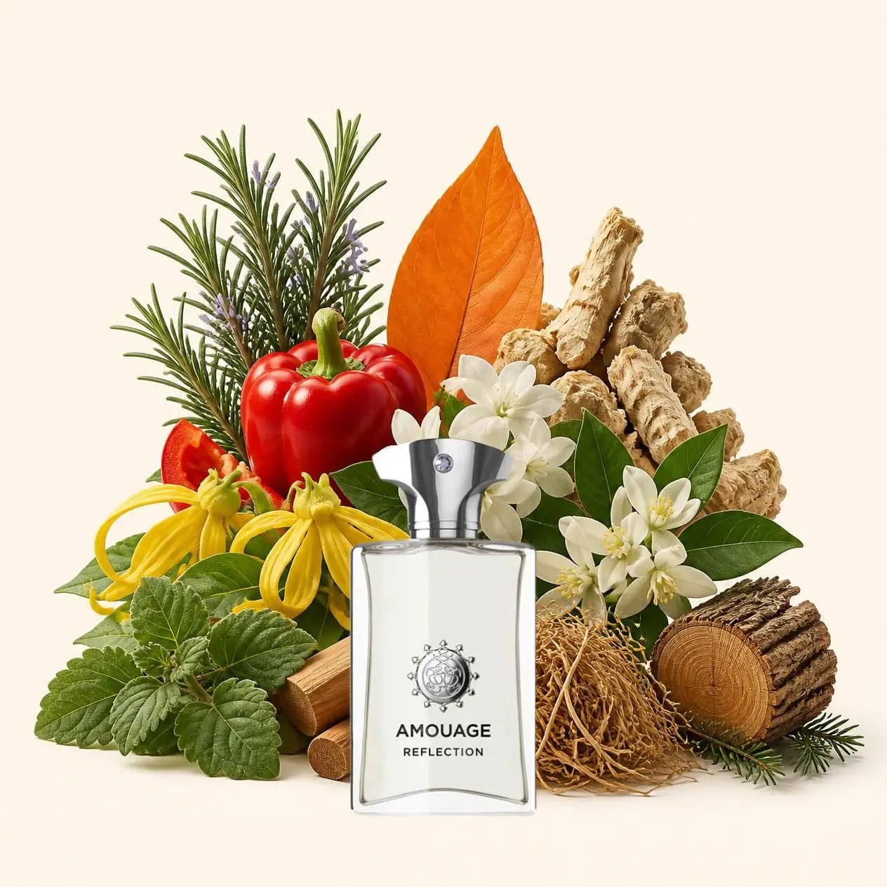 Notes olfactives Amouage Reflection Man - Eau de Parfum Maison Matheis