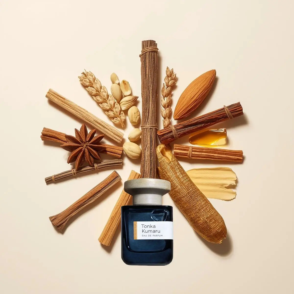 Notes olfactives Atelier Materi Tonka Kumaru - Eau de Parfum Maison Matheis