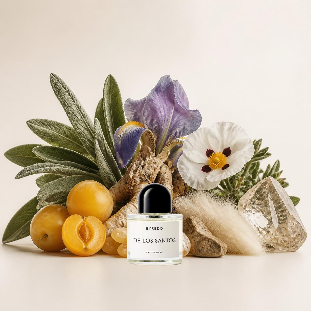 Notes olfactives Byredo De Los Santos - Eau de Parfum Maison Matheis