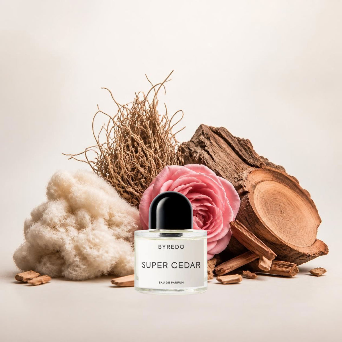 Notes olfactives Byredo Super Cedar - Eau de Parfum Maison Matheis