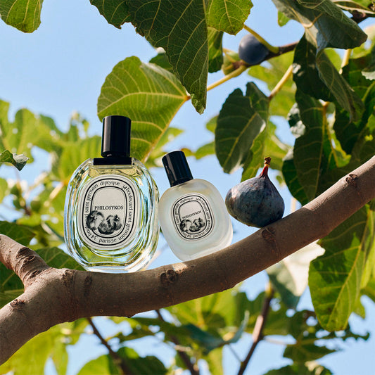 Échantillon décant Dyptique Philosykos - Eau de Toilette Maison Matheis - 2ml 5ml 10ml
