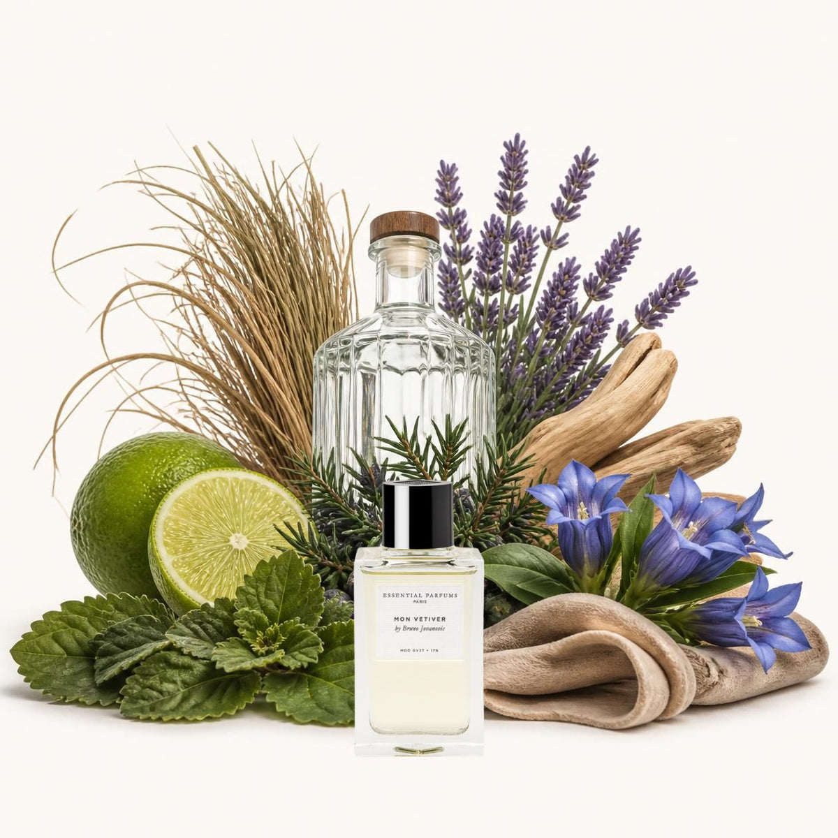 Notes olfactives Essential Parfums Mon Vetiver - Eau de Parfum Maison Matheis