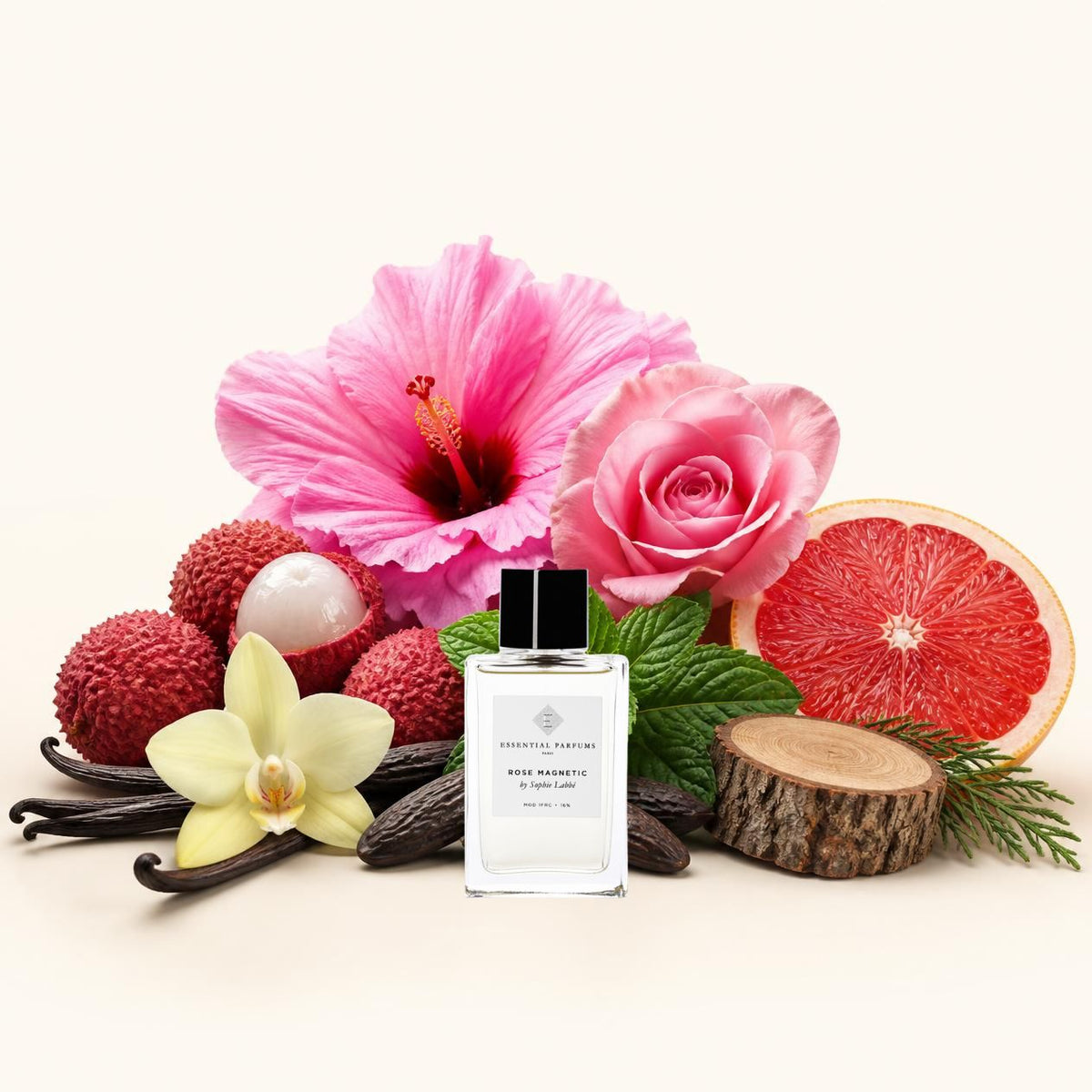 Notes olfactives Essential Parfums Rose Magnetic - Eau de Parfum Maison Matheis
