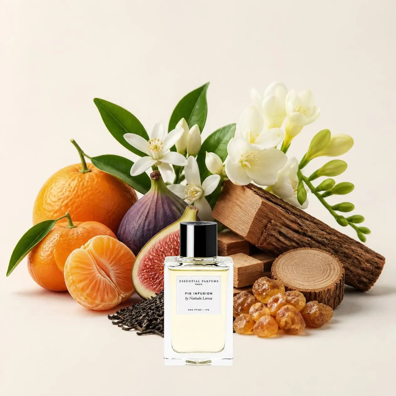 Notes olfactives Essential Parfums Fig Infusion - Eau de Parfum Maison Matheis