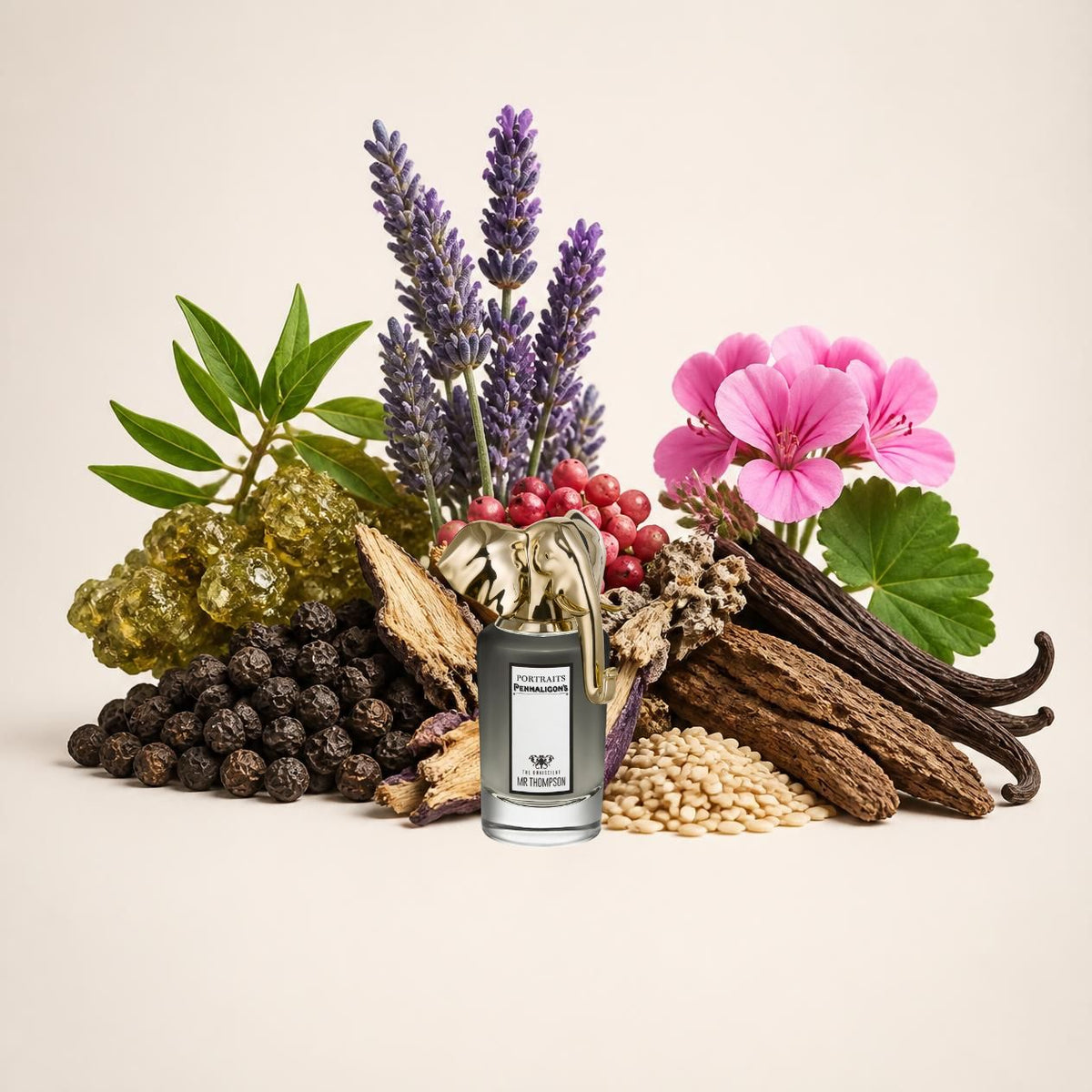 Notes olfactives Penhaligon's The Omniscient Mr Thompson - Eau de Parfum Maison Matheis