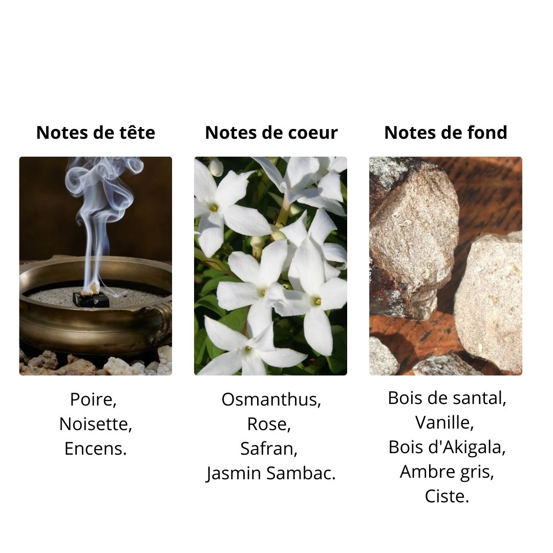 Décant Amouage Guidance - Eau de Parfum Maison Matheis