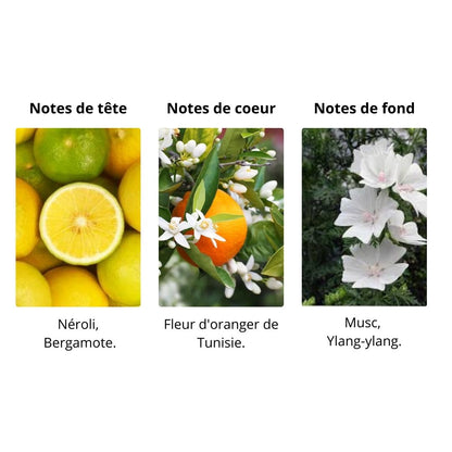 Décant Matiere Premiere Néroli Oranger - Eau de Parfum Maison Matheis