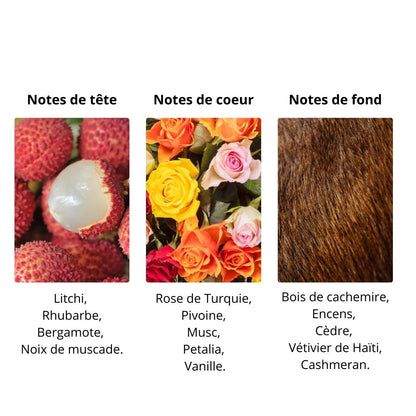 Décant Parfums de Marly Delina - Eau de Parfum Maison Matheis