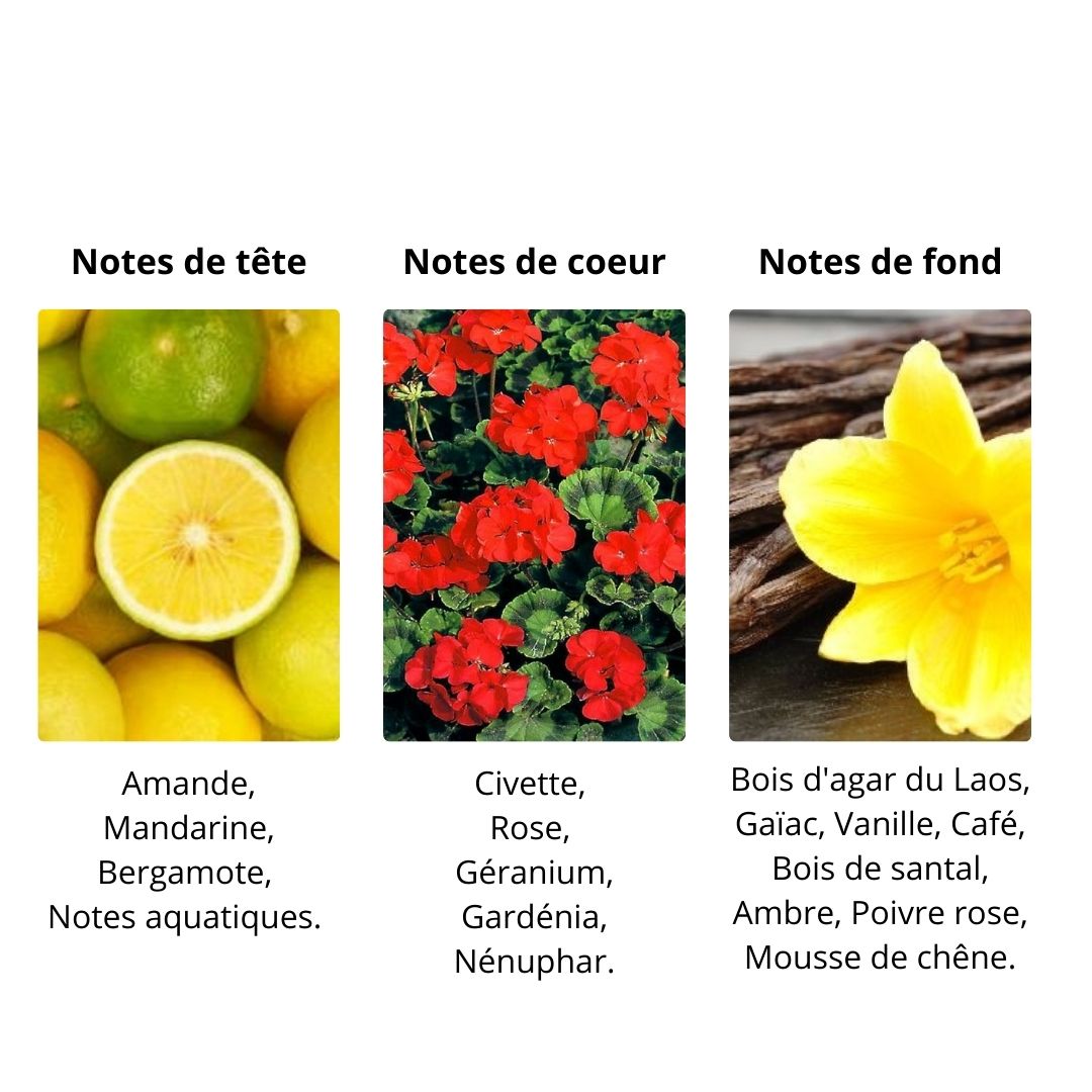 Décant Parfums de Marly Layton Exclusif - Eau de Parfum Maison Matheis