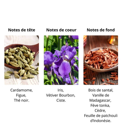 Décant BDK Gris Charnel - Extrait de Parfum Maison Matheis