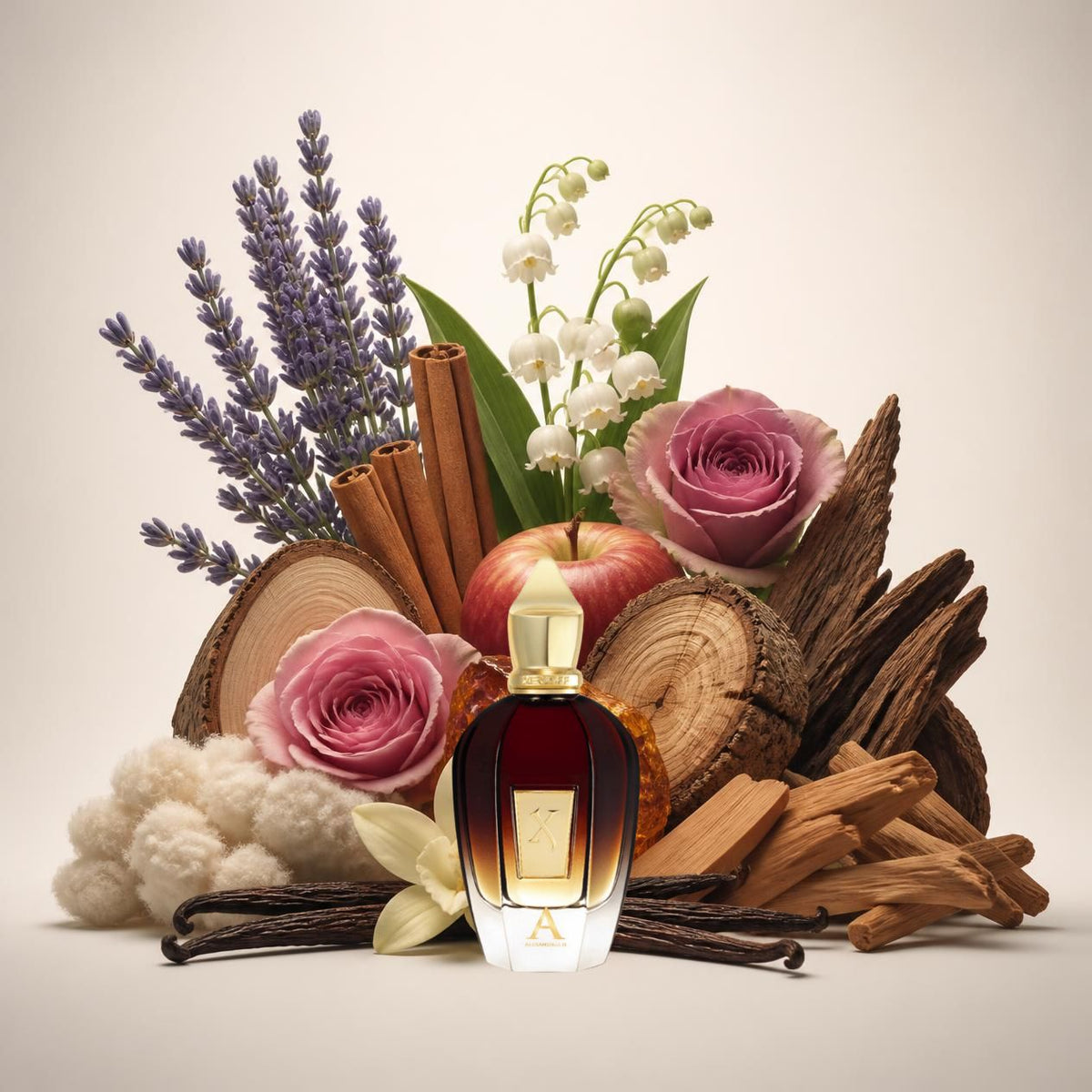 Notes olfactives Xerjoff Alexandria II - Eau de Parfum Maison Matheis