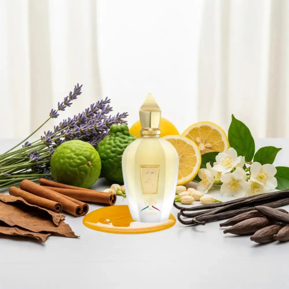Notes olfactives Xerjoff Naxos - Eau de Parfum Maison Matheis