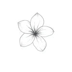 Notes de cœur