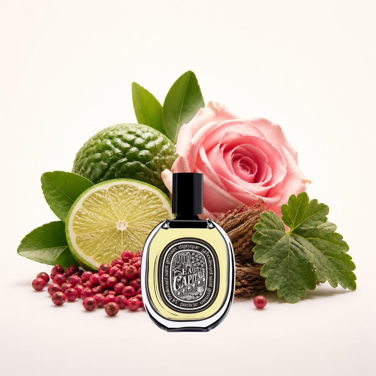Notes olfactives Dyptique Eau Capitale - Eau de Parfum Maison Matheis