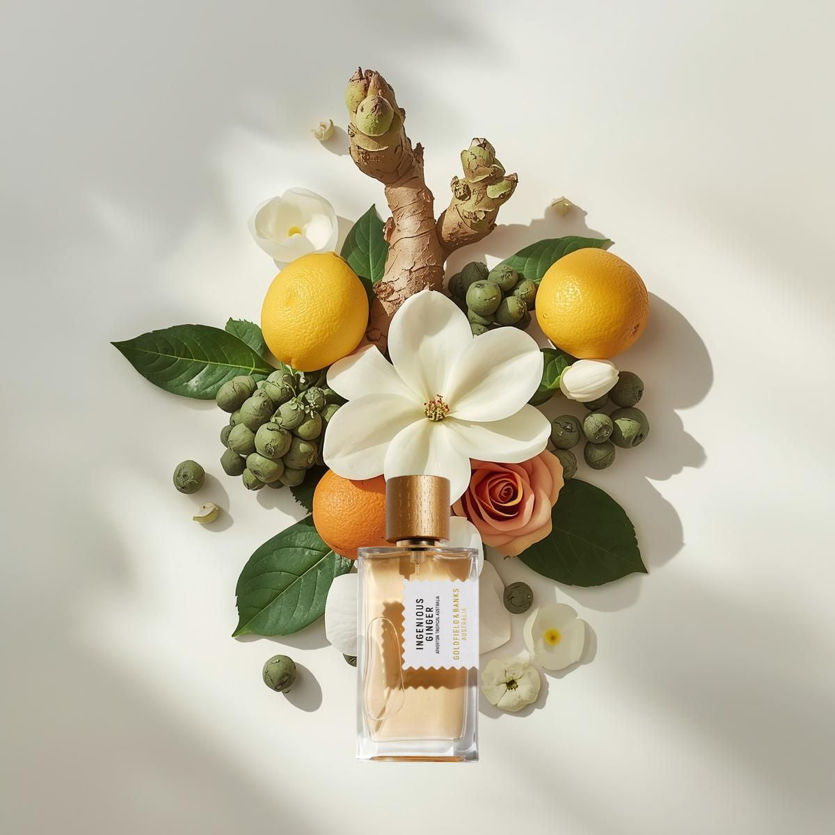 Notes olfactives Goldfield & Banks Ingenious Ginger - Eau de Parfum Maison Matheis