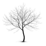 Notes de cœur